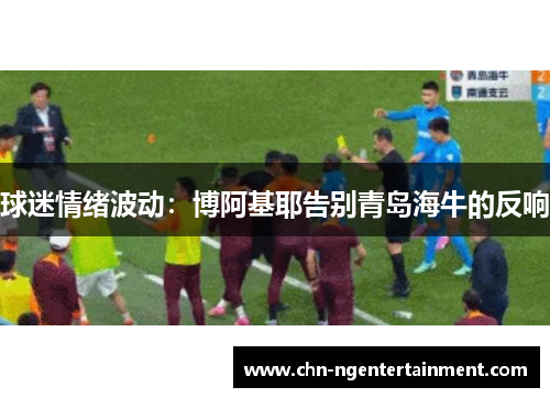 球迷情绪波动：博阿基耶告别青岛海牛的反响