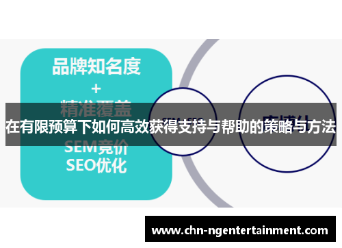 在有限预算下如何高效获得支持与帮助的策略与方法