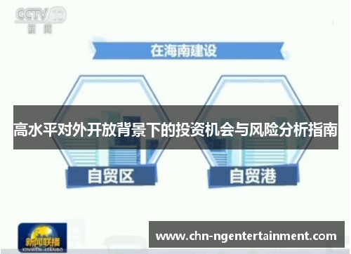 高水平对外开放背景下的投资机会与风险分析指南