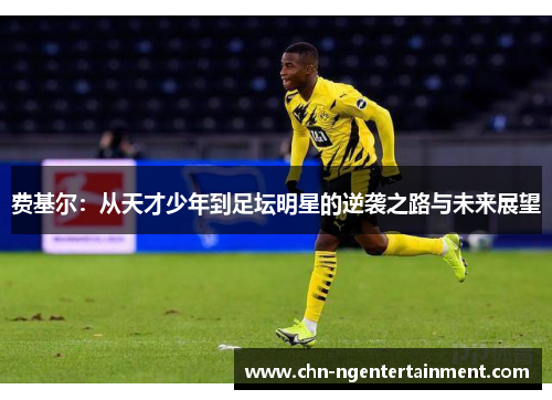费基尔：从天才少年到足坛明星的逆袭之路与未来展望