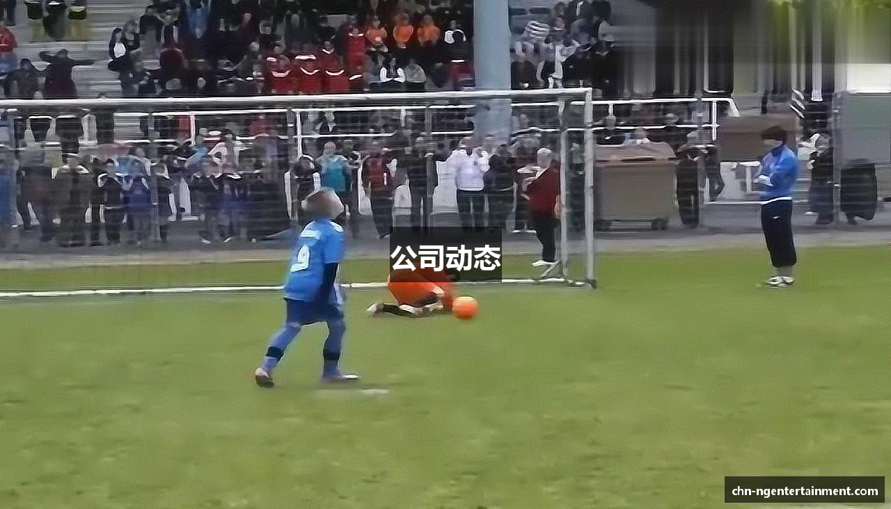 公司动态